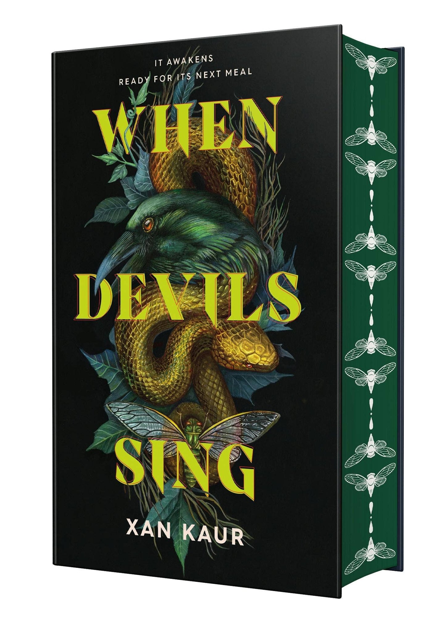 When Devils Sing by Xan Kaur (Deluxe Edition-Hardcover)