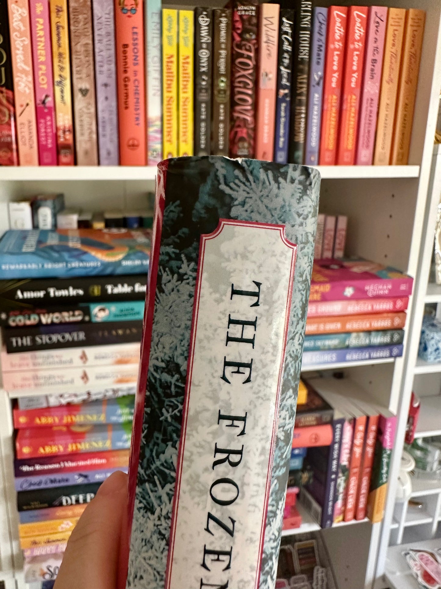 The Frozen River by Ariel Lawhon (Damaged)