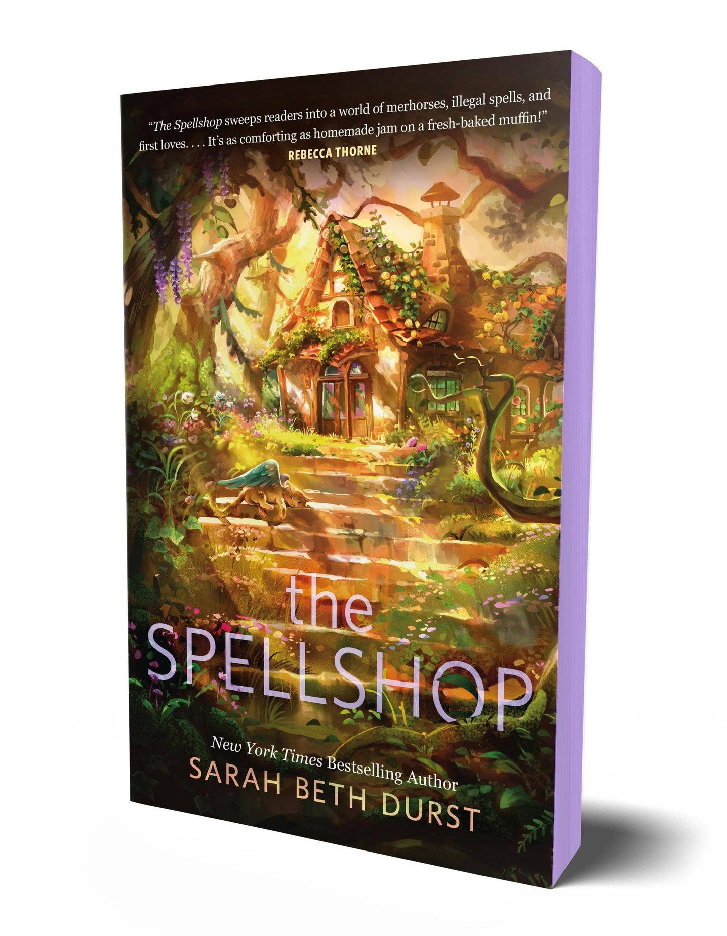 The Spellshop by Sarah Beth Durst (Book #1: Deluxe Edition- Paperback)