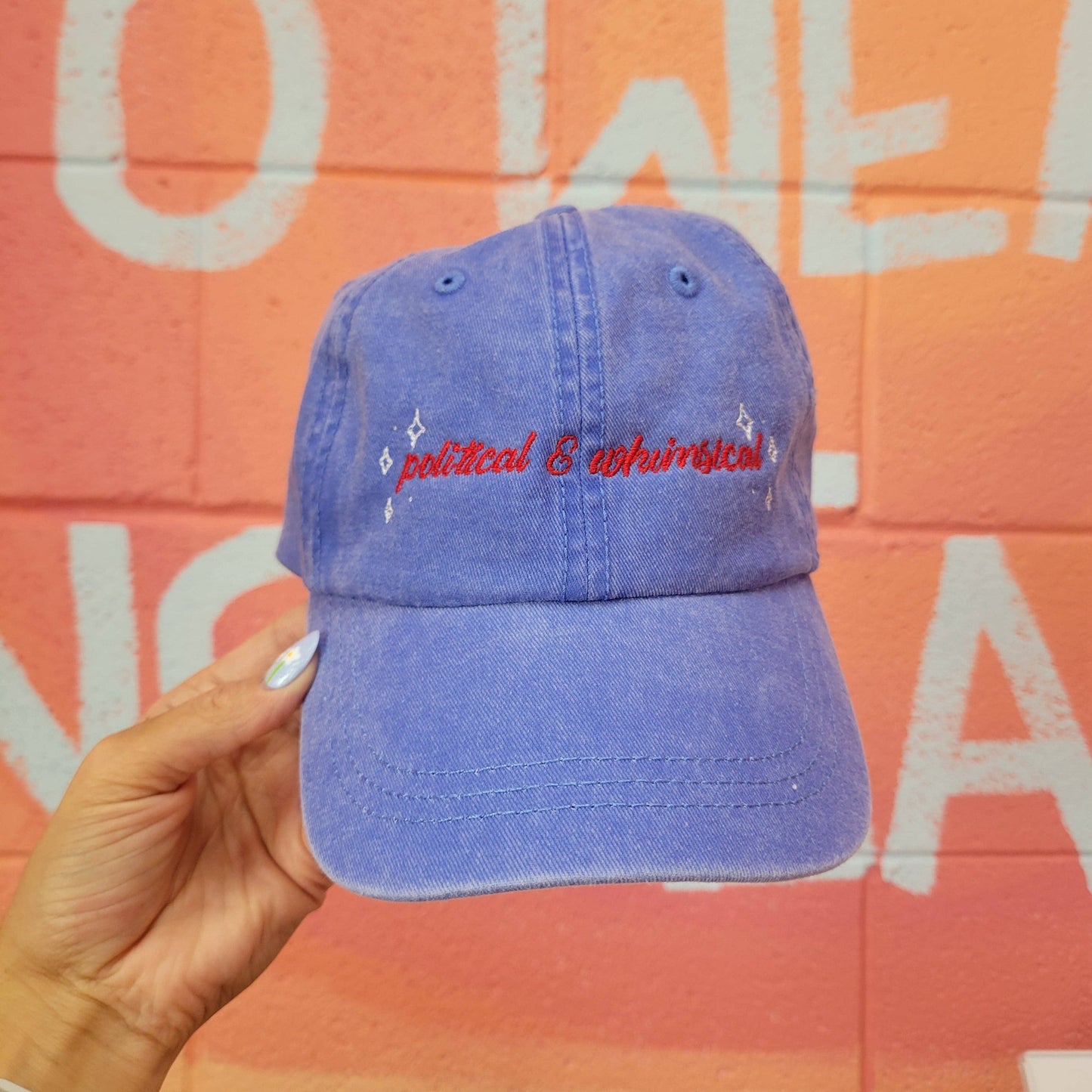 Political & Whimsical Embroidered Hat