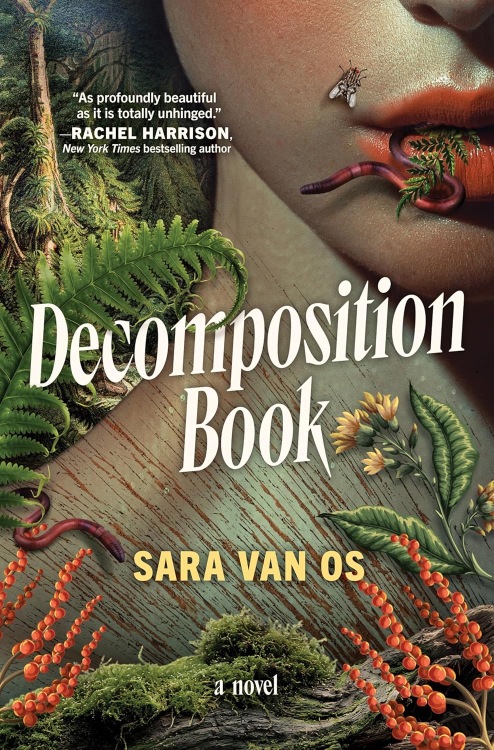 Decomposition Book by Sara van Os (Hardcover)