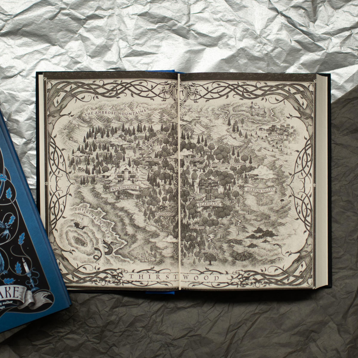 The Cursed Queen's Daughter by Elly Blake