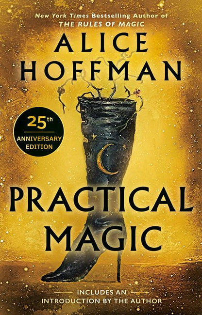 Practical Magic by Alice Hoffman (Book #2- Practical Magic series)