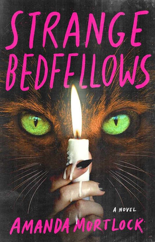 Strange Bedfellows: A Novel cover image