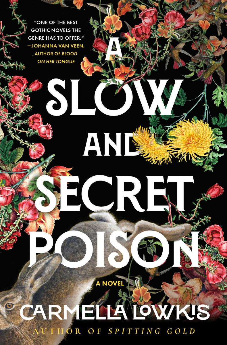 A Slow and Secret Poison by Carmella Lowkis