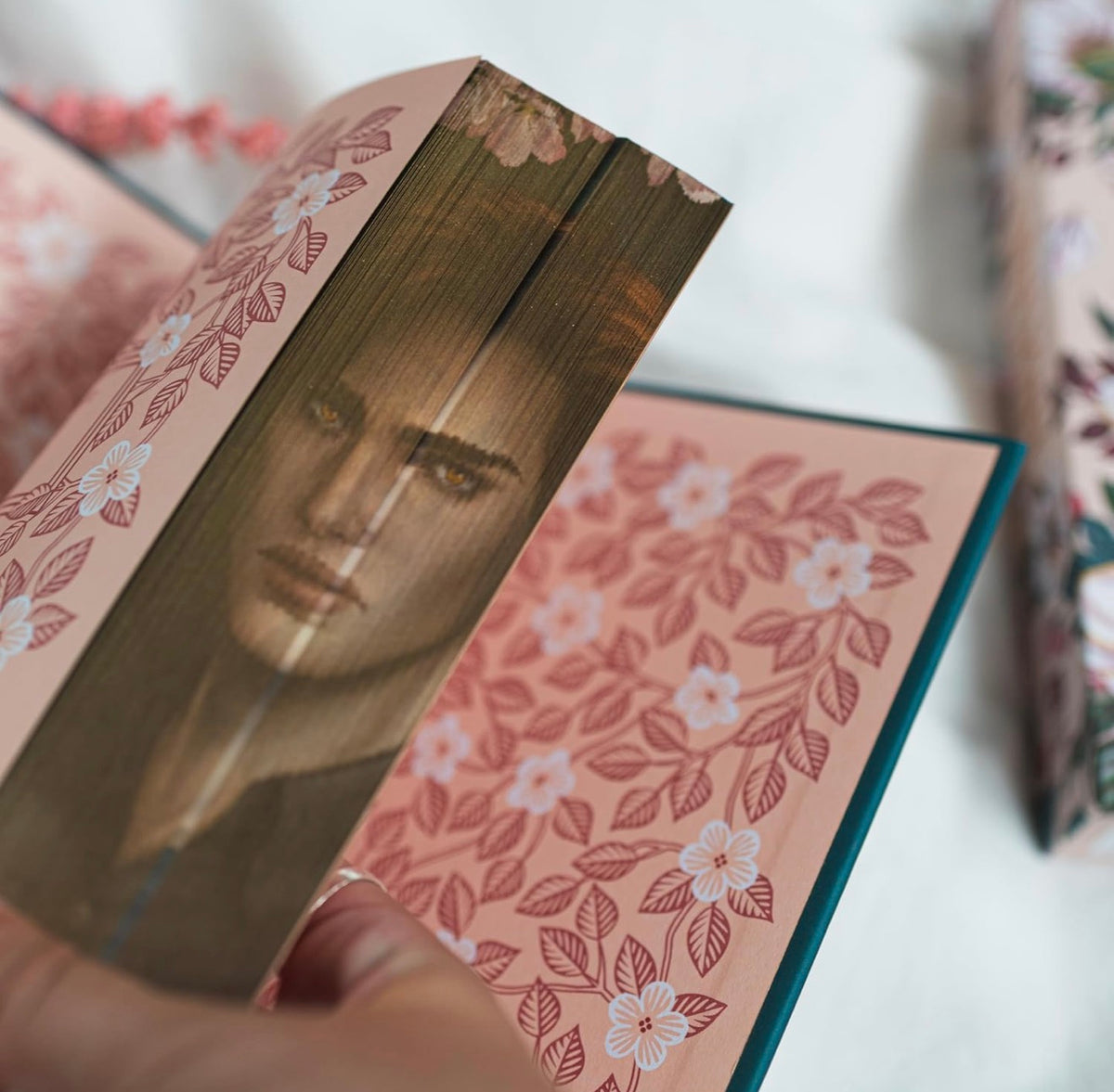 Twilight by Stephenie Meyer (The Twilight Saga: Book #1- Deluxe Collector’s Edition)