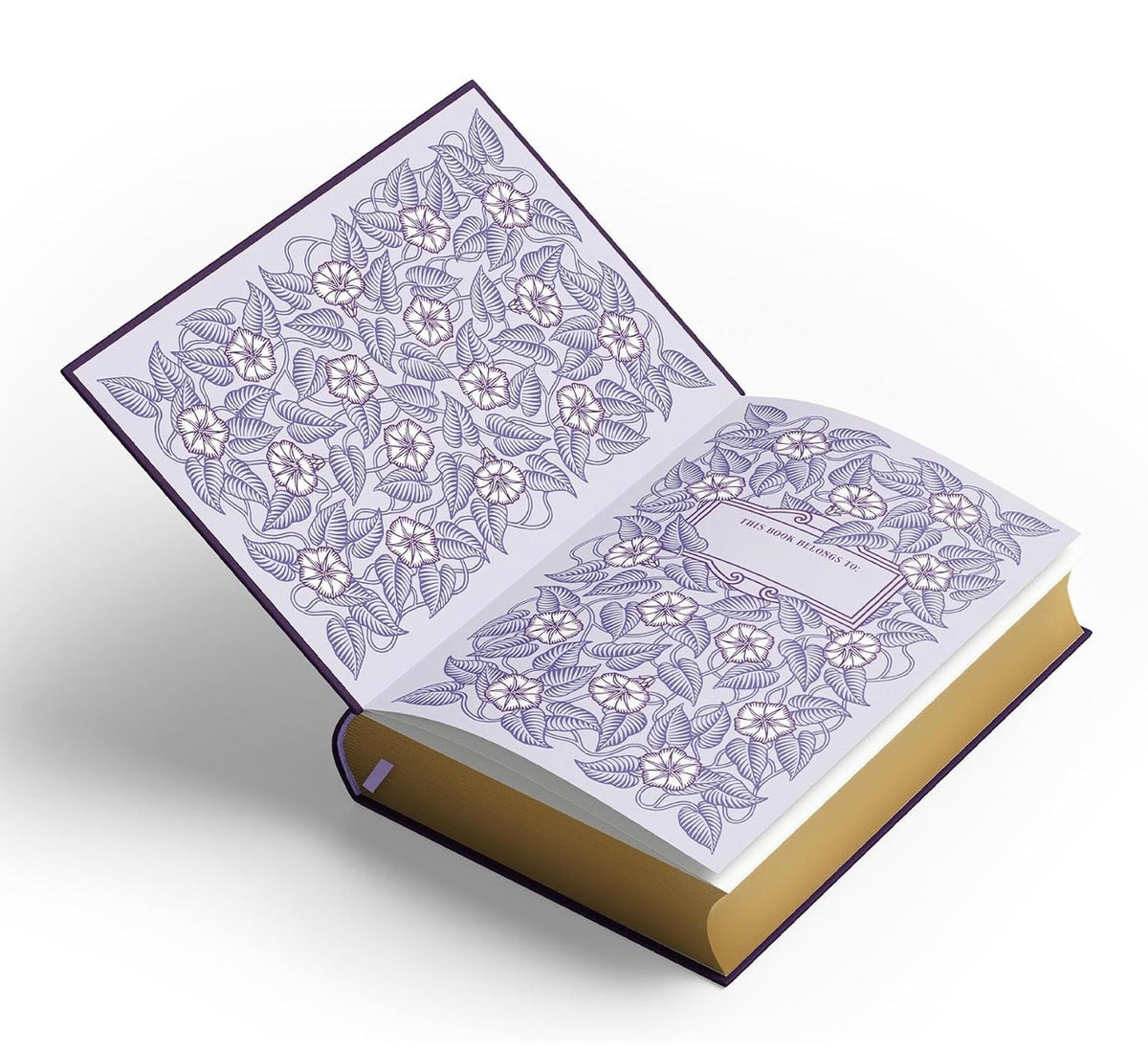 (PRE-ORDER) Eclipse by Stephenie Meyer (The Twilight Saga: Book #3-Deluxe Collector's Edition)