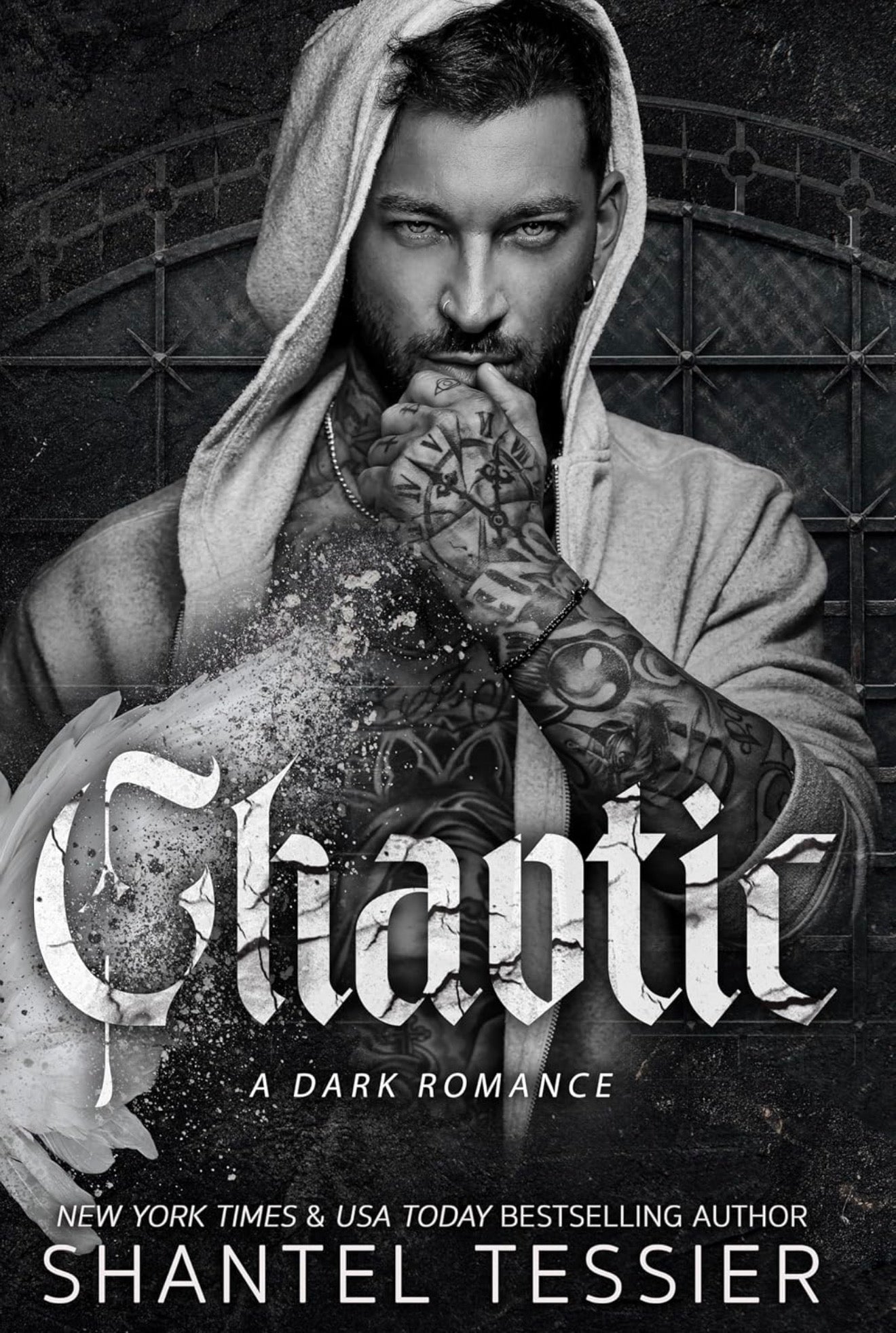 Chaotic by Shantel Tessier