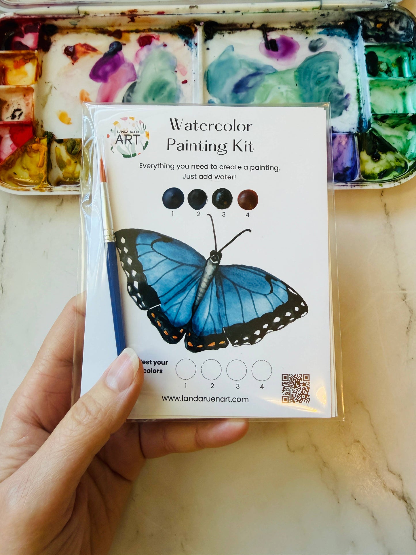 Morpho Butterfly Watercolor Kit